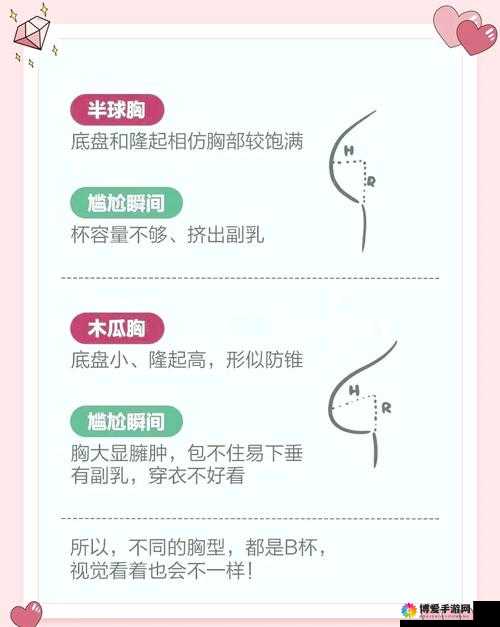 B 是什么？B 又是什么？为何 B 和 B 会不一样？深度解析其中差异与原因