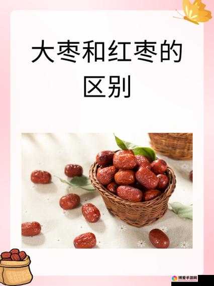 大枣和红枣到底有何区别?一文带你了解大枣与红枣的不同之处