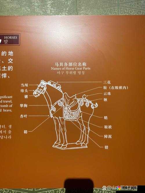 六龙争霸3D马具怎么获得，马具获取方式介绍