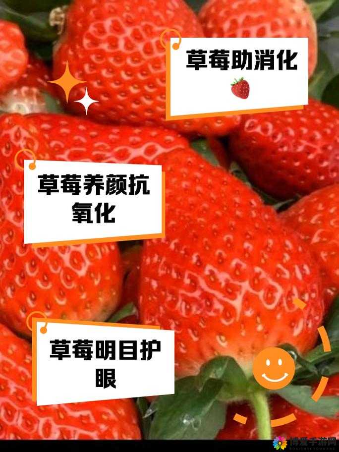 在观看草莓视频时，如何保护自己的隐私和安全？