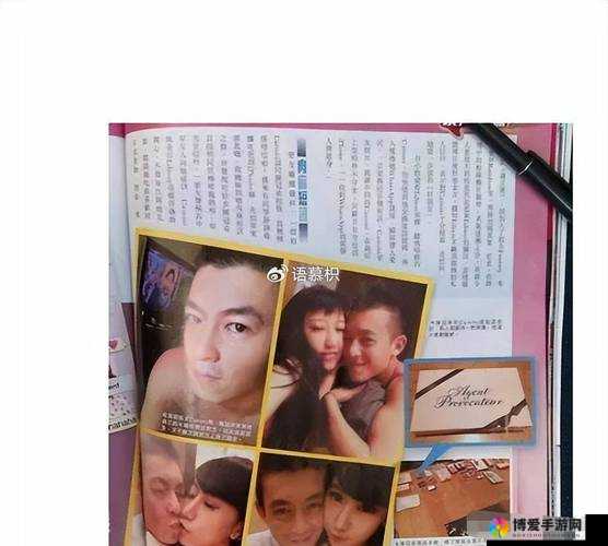 2008版陈冠希电脑照片事件回顾：全面解析及影响分析，揭秘背后真相与公众反应
