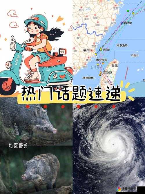 为什么欧美人与禽 zOz0 性伦多活几年成为网络热议话题？