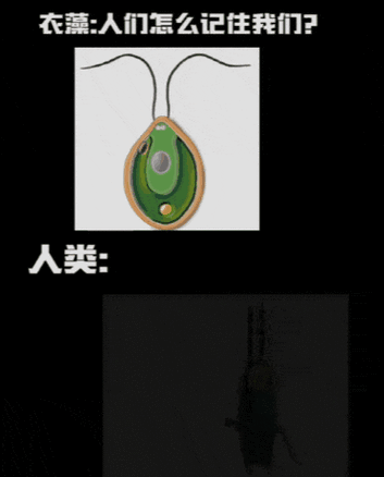搡BBBB搡BBB搡我瞎了背后的故事：揭秘网络热梗的起源与流行趋势