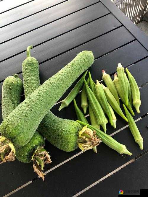 丝瓜秋葵视频在线观看：揭秘健康饮食新宠，如何巧妙搭配提升营养价值