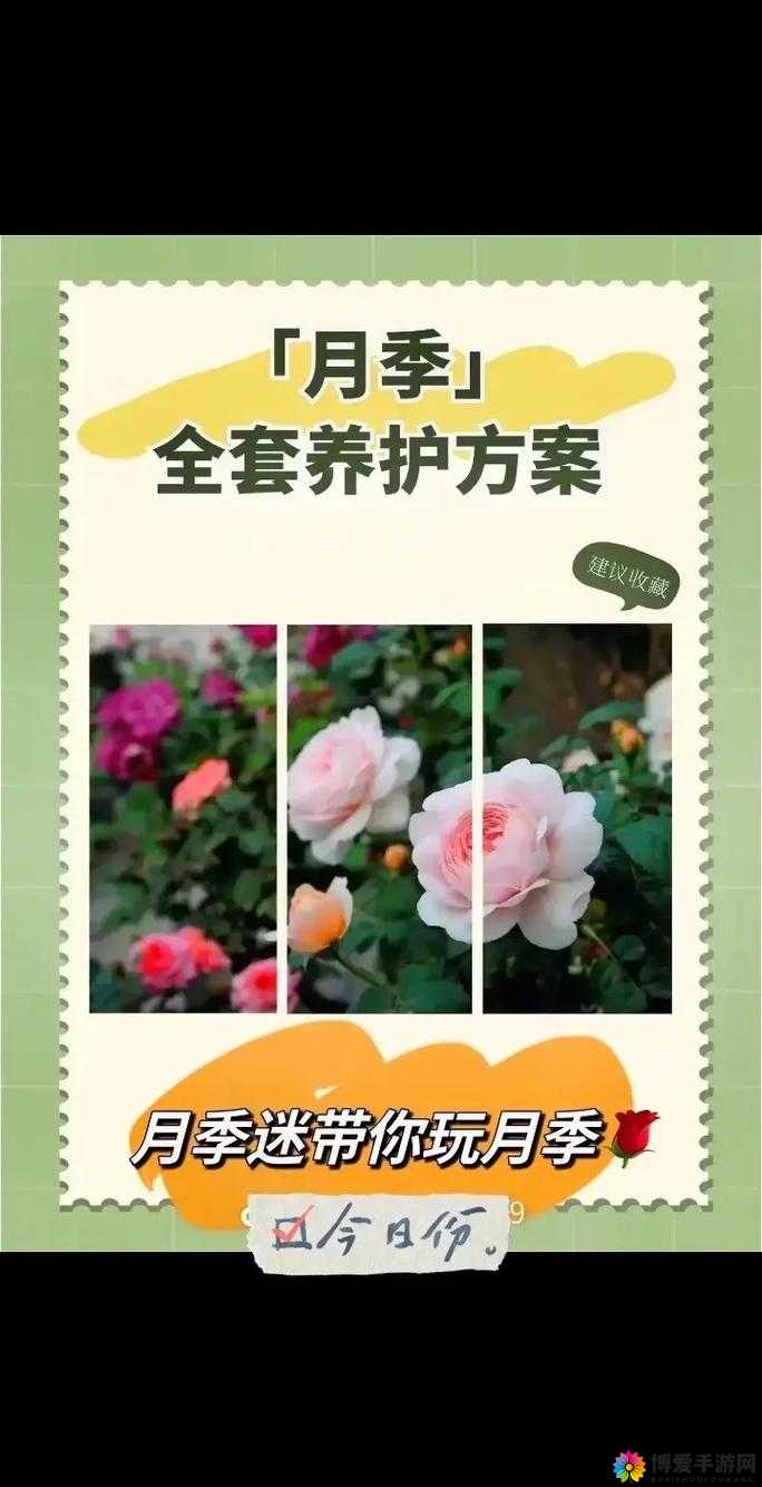 揭秘欧美XXXⅩ摘花视频背后的故事：如何在家中轻松实现花卉养护与采摘技巧