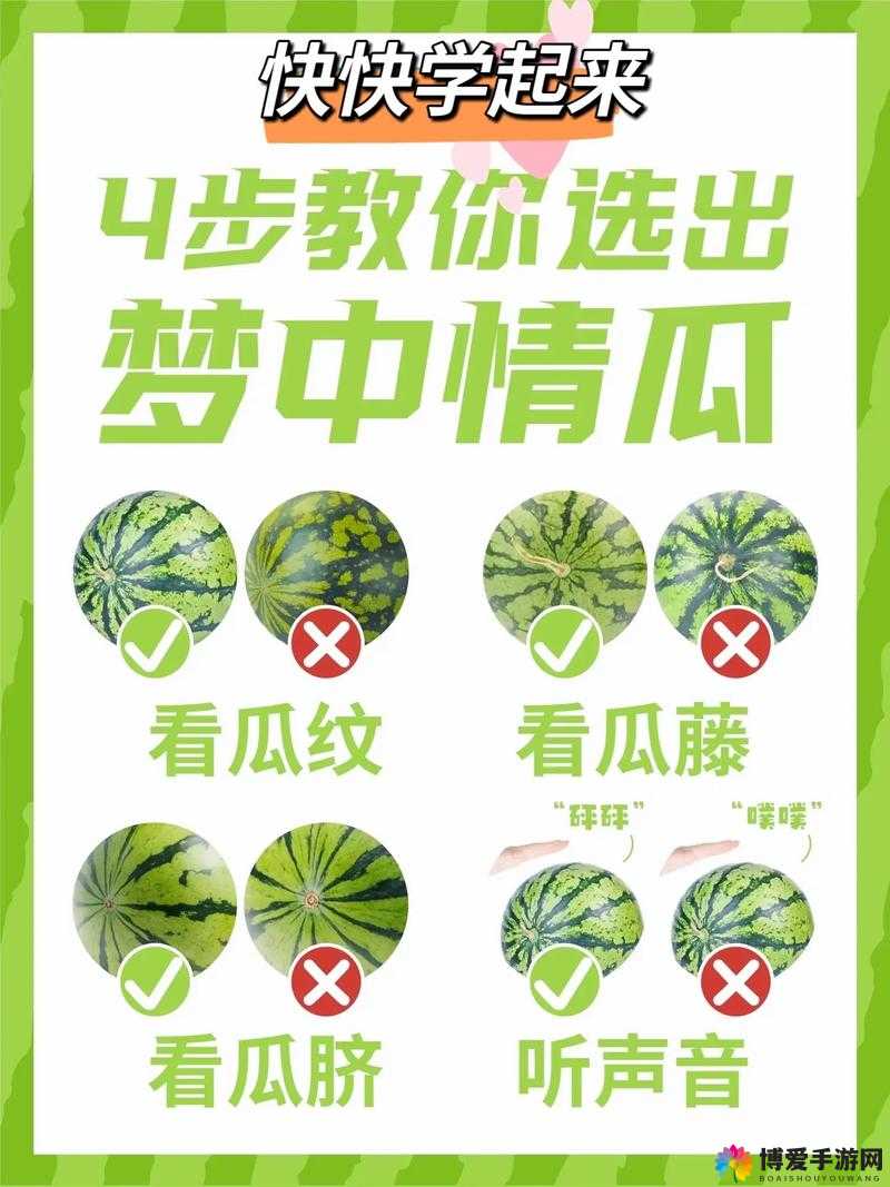 如何在 120 秒内生成一个利于百度 SEO 优化的西瓜？