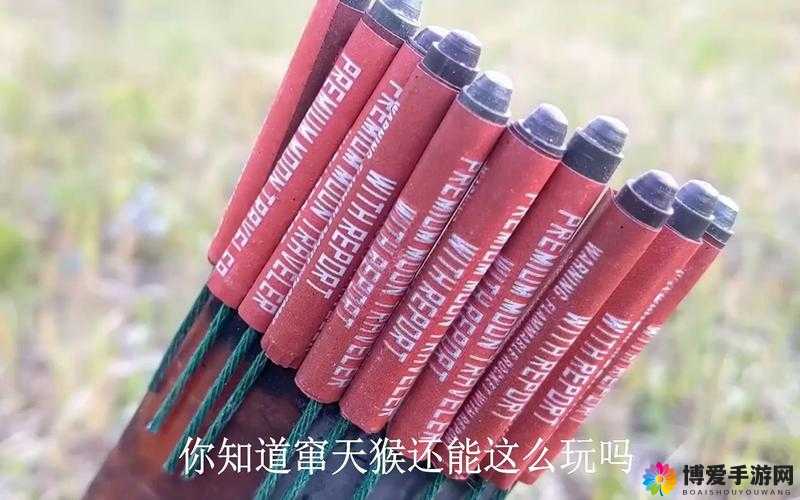窜天猴网页版是什么？它有哪些独特功能和优势？快来一探究竟