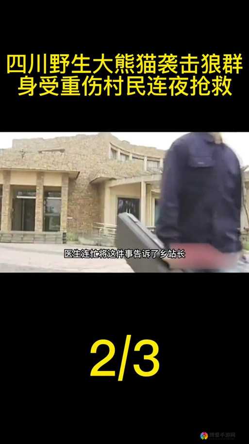幸福宝站长统计的最新隐藏内容是什么？带你了解幸福宝的神秘一面