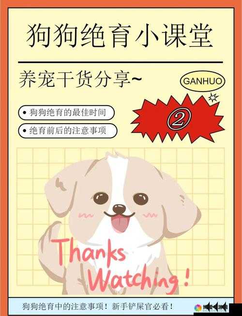 狗狗配人的最佳时间是什么时候?全面解析狗狗配人最佳时机要点