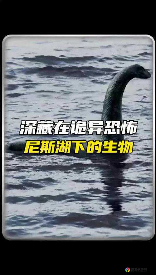 八卦海abw194神秘事件揭秘：网友热议背后的真相与未解之谜