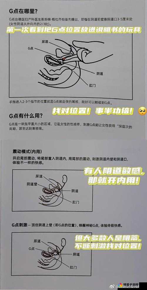 探索女free性IY9v7交体内谢的奥秘：科学解析与健康建议