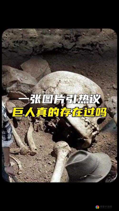 深喉一区最新爆料：揭秘背后的真相与未解之谜，引发全网热议