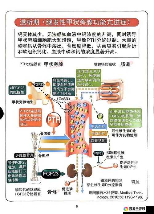 探讨女性Z○ZO交体内谢生成机制：科学解析与健康影响
