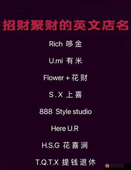 Rich的生活方式揭秘：如何通过rich实现财务自由与人生巅峰的完美结合
