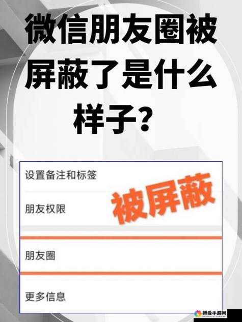 对方把我屏蔽了该怎么办？如何应对被人屏蔽的情况及解决方法