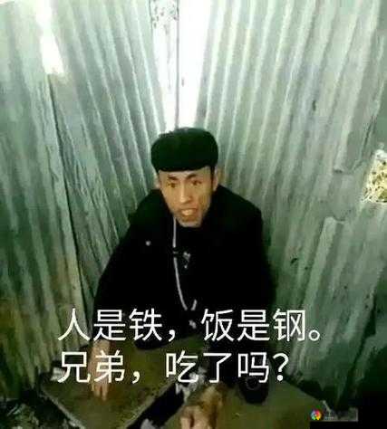 老八的快乐生活究竟有何独特之处？探秘老八那些让人捧腹的精彩瞬间