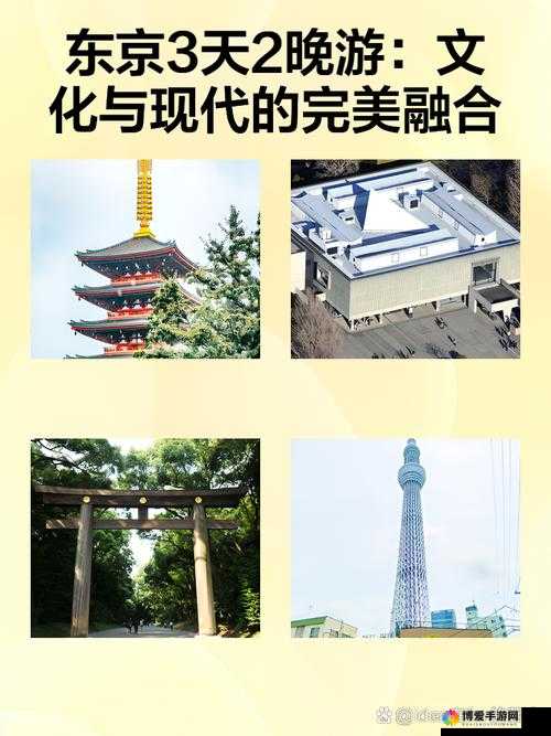 探索日本大但人文艺术项目的独特魅力:传统与现代的完美融合