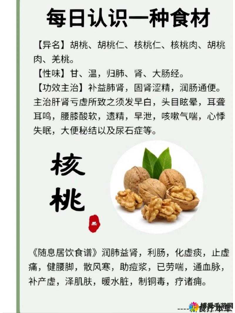 胡桃有何作用与功效？一文带你了解胡桃的多种益处及价值