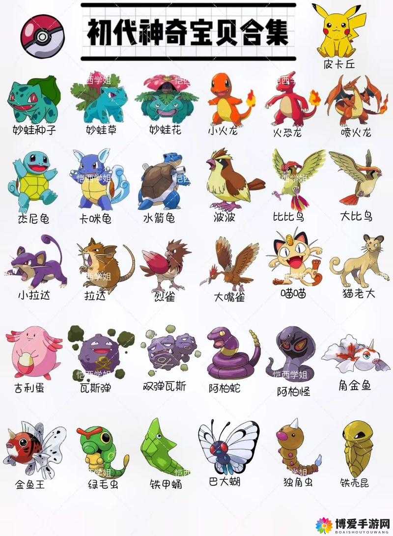 去吧皮卡丘！雷伊布精灵图鉴与技能属性一览