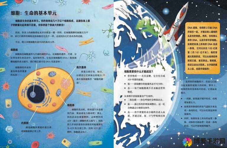 三年成全免费高清观看，究竟是怎样的神奇体验？快来一探究竟