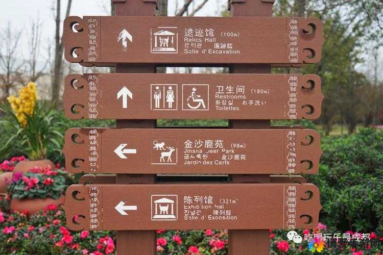 探索1024你懂的金沙一区二区:深入了解其独特魅力与实用信息