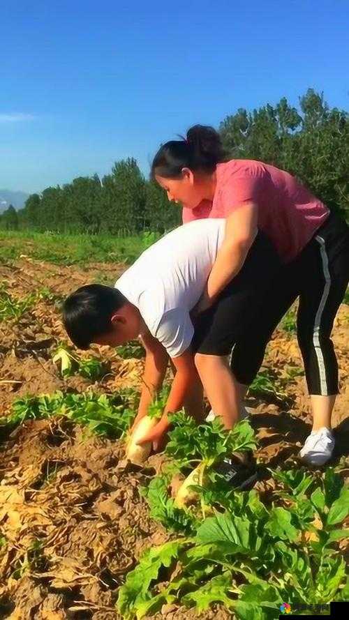 男女拔萝卜拔萝卜的趣味挑战：如何高效协作完成农田任务？