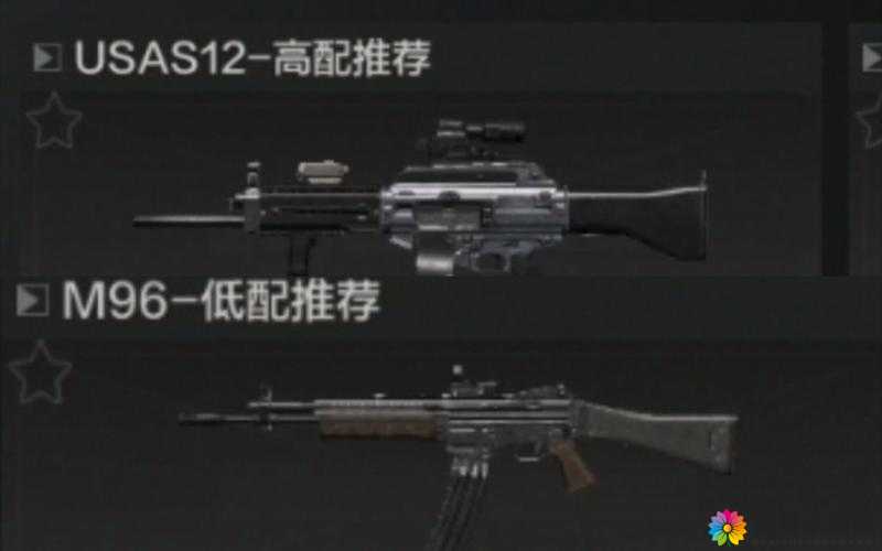 全民玱王USAS12好不好？USAS12固定属性详解析