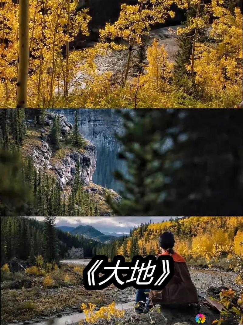 大地在线播放免费观看，你能找到资源吗？