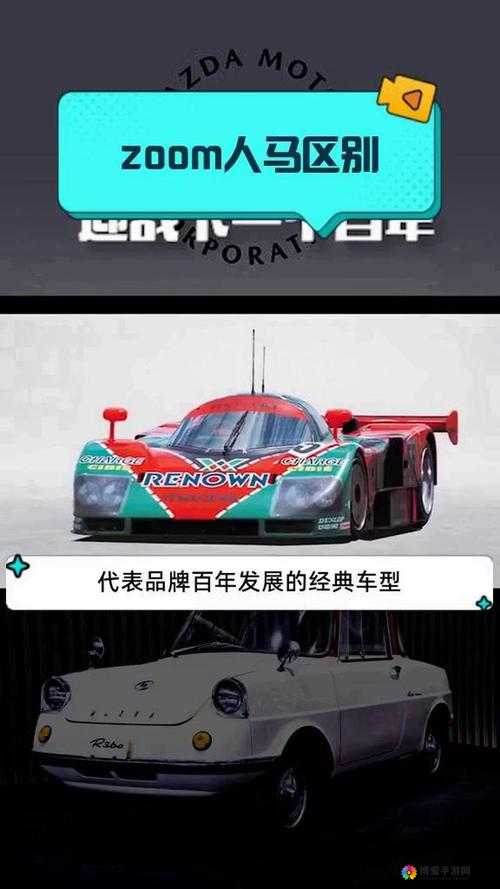 Zoom 与人马性 Zoom：有何不同？哪个更好用？
