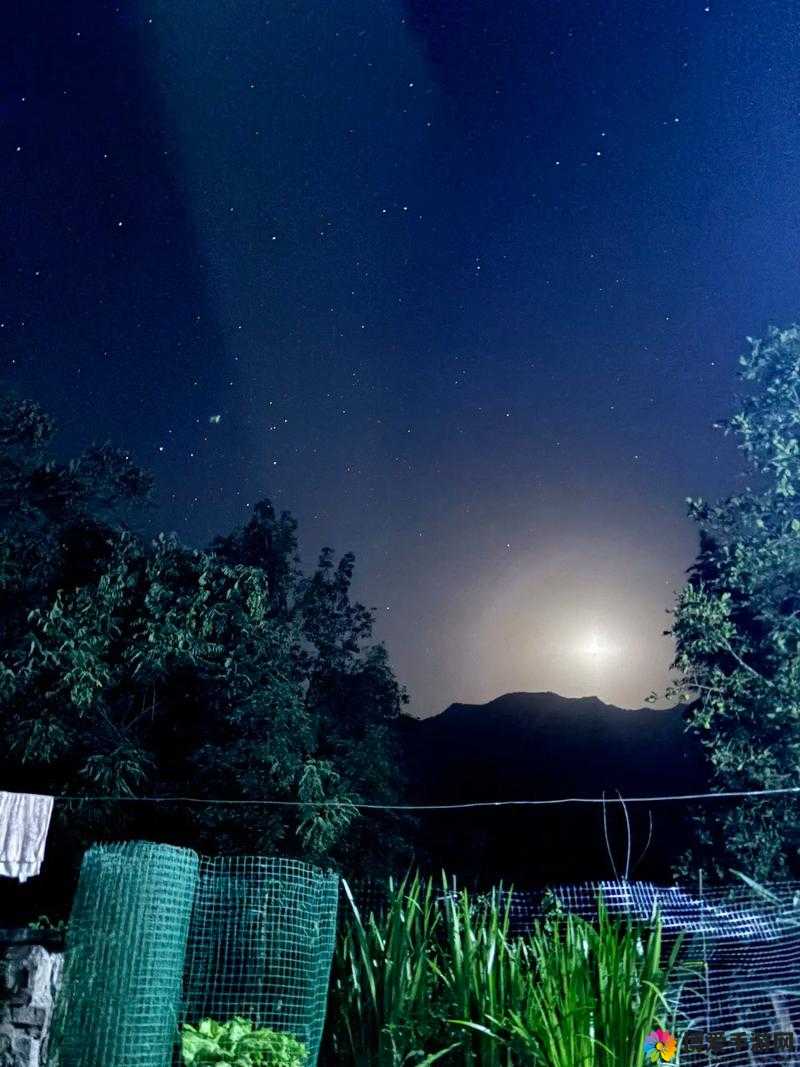 张微雨黄昏水上阁楼视频：宁静夜色中的诗意时刻，感受自然与建筑的完美融合