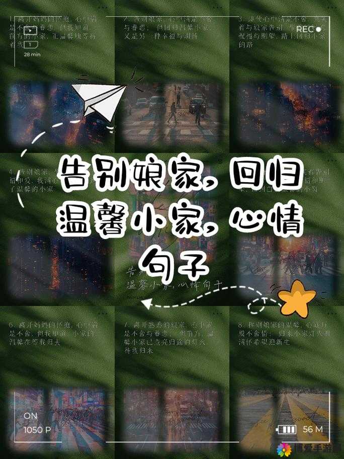 留在娘家的儿中字：传统与现代的碰撞，家庭情感与文化的深层解读