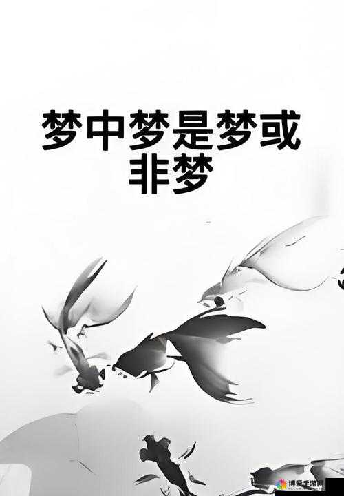 皱鸟圆你一个梦，究竟是什么样的梦想能够在这里实现？快来一探究竟