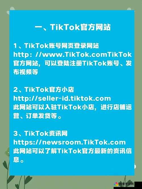 抖抈网站最新功能解析:如何利用抖抈提升内容创作效率与用户互动体验?
