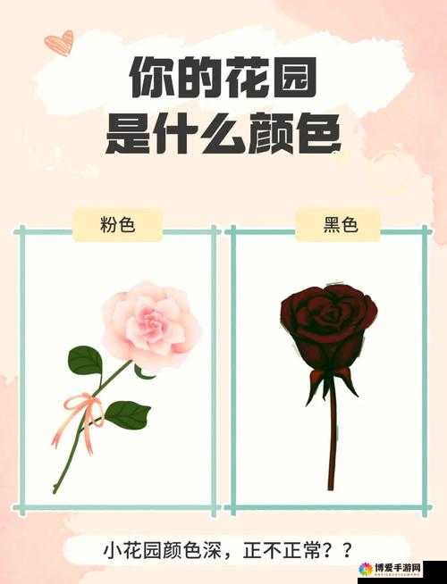 男人喜欢小花园黑色还是粉色？揭秘男性对颜色偏好的真实想法与选择
