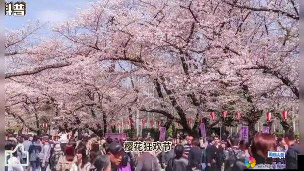 探索日本69×XX视频的独特魅力：揭秘其背后的文化现象与流行趋势