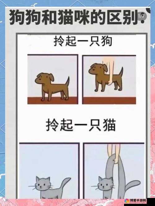 搞笑漫画:猫狗大战的爆笑瞬间——看喵星人与汪星人如何演绎日常生活中的欢乐对决