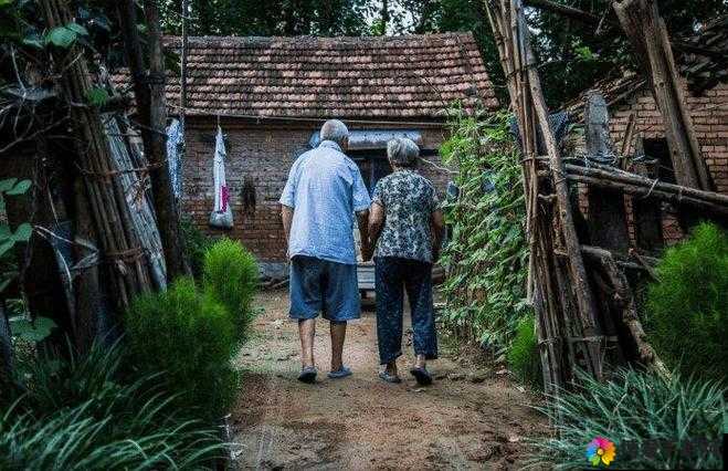 农村老夫妻的爱情故事：相伴一生的温暖与感动