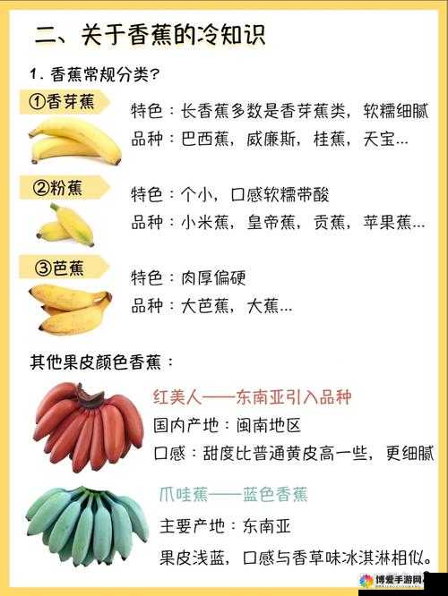 香蕉app官方最新版下载指南：功能全面解析与用户体验深度评测