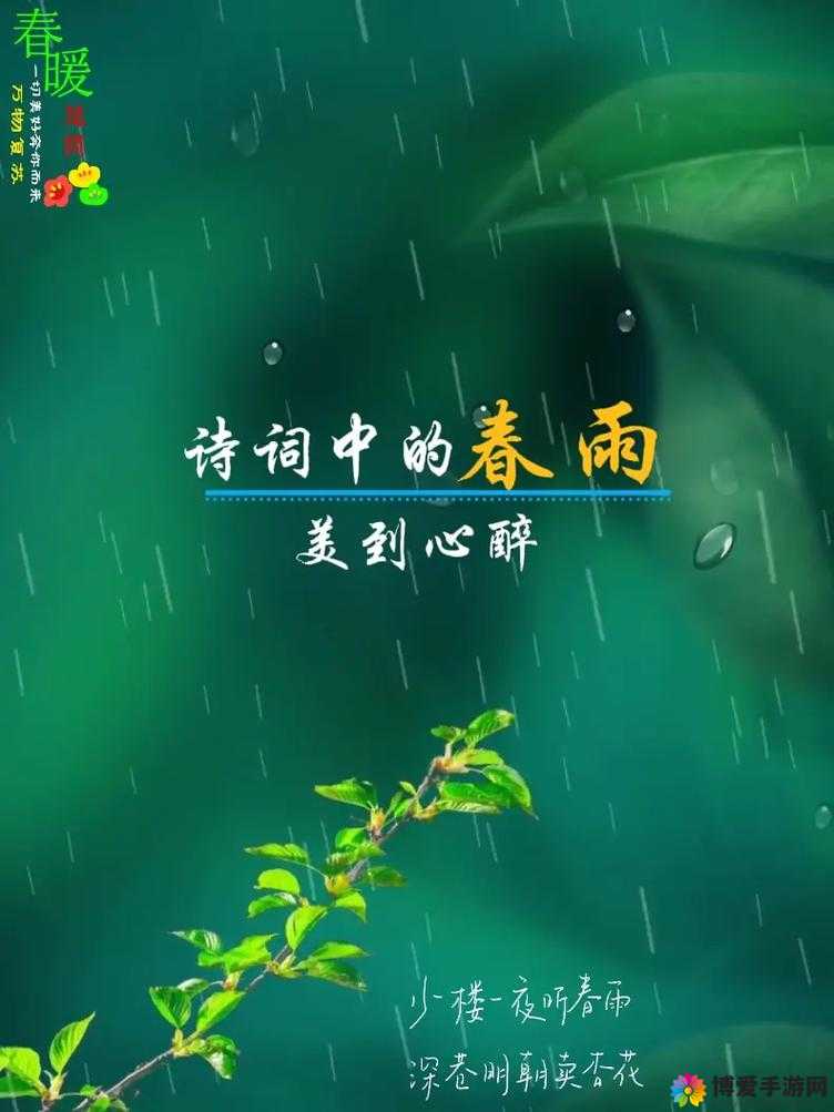 如何免费下载春雨2024？最新资源获取指南与实用技巧分享