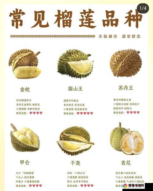 探索水果的奇妙世界：草莓、榴莲、香蕉和丝瓜的独特魅力等你来发现