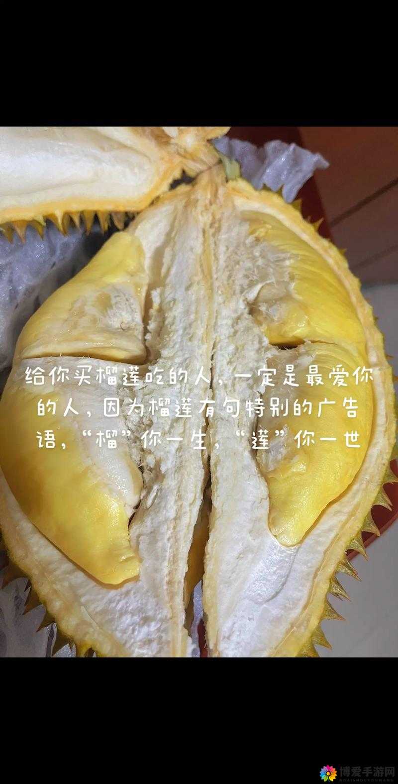 榴莲视频成年人，你无法拒绝的视觉盛宴