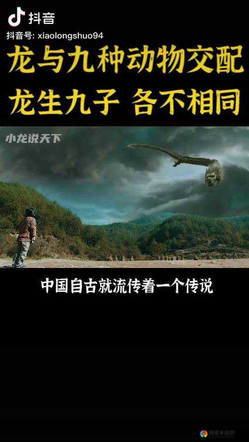 师父有妖气龙子好吗？龙子缘分技能详细介绍在资源管理中的重要性及高效运用策略