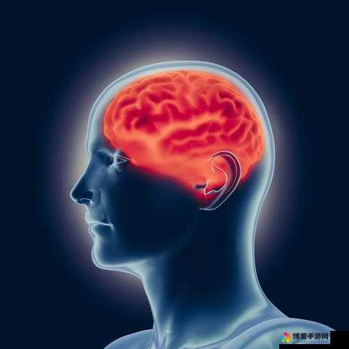 男生被绑尿孔凸起现象解析：原因、影响及应对方法全揭秘