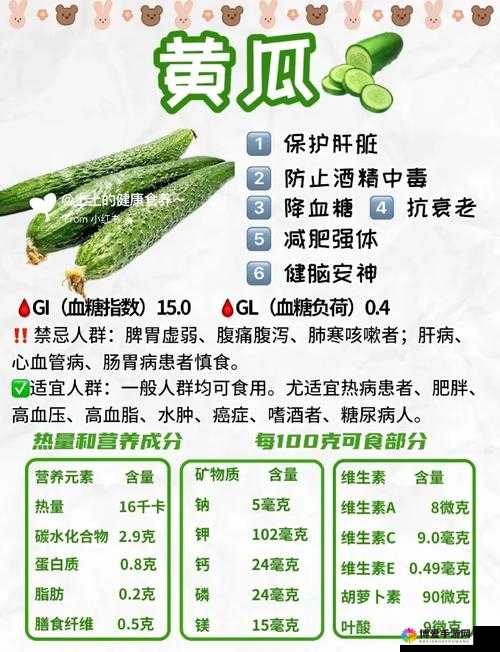 黄瓜地址永久免费获取指南：最新资源分享与使用教程，轻松解锁海量内容