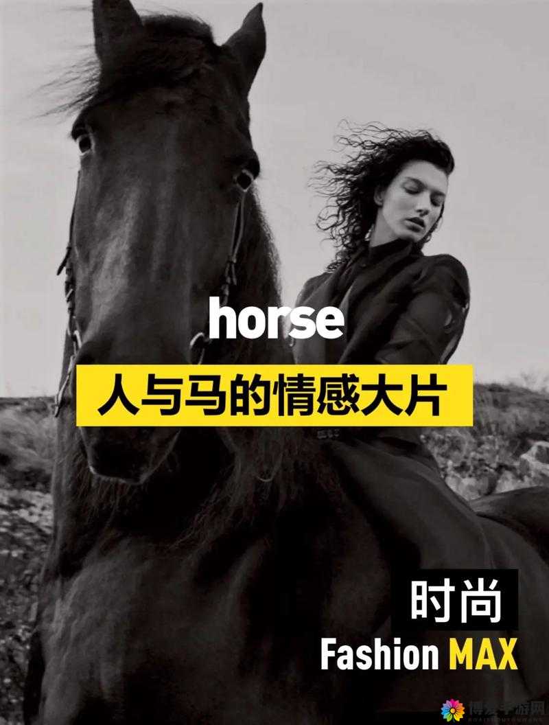 马和人的奇特互动：他们在小说中究竟是怎样一起玩耍的？