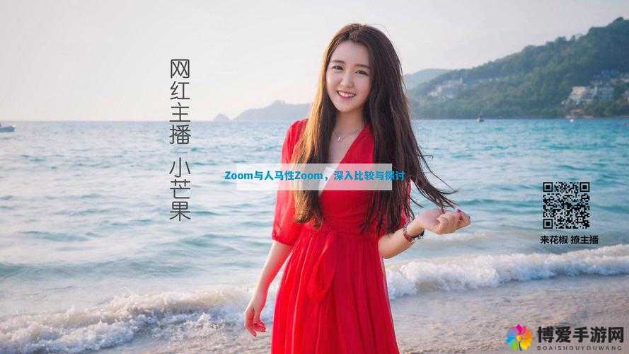 Zoom 和人马性 Zoom 有何区别？二者详细对比分析谁更胜一筹？