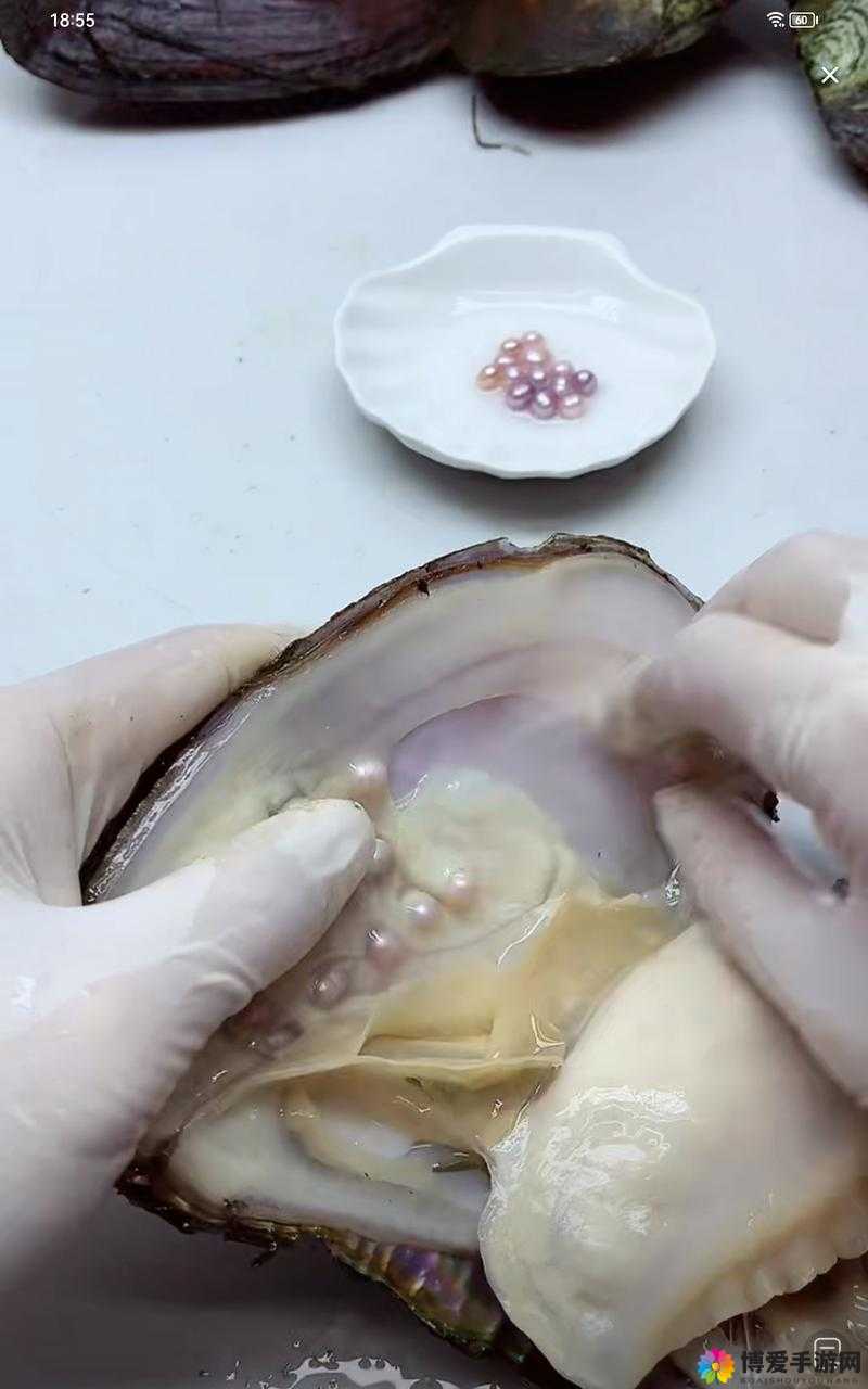 珍珠蚌的肉应该如何处理？详细步骤与技巧大揭秘