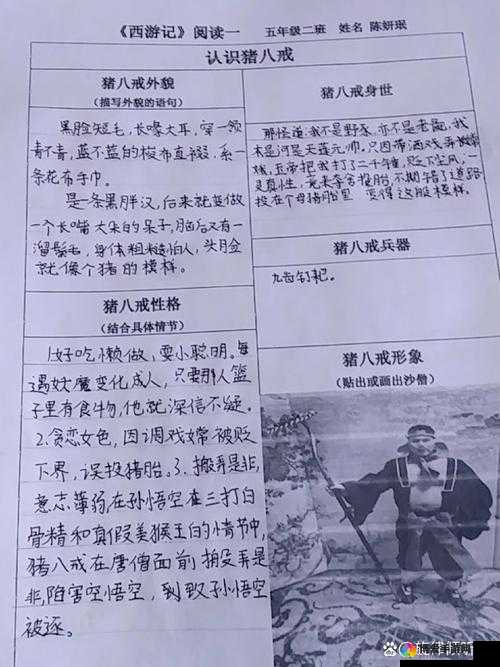 八戒八戒是什么意思？为何它如此受关注？探究八戒八戒背后的故事