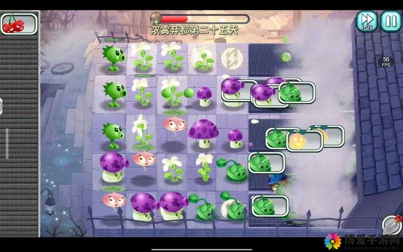花儿与少年手游绿地主题第10关怎么过？第十关通关攻略