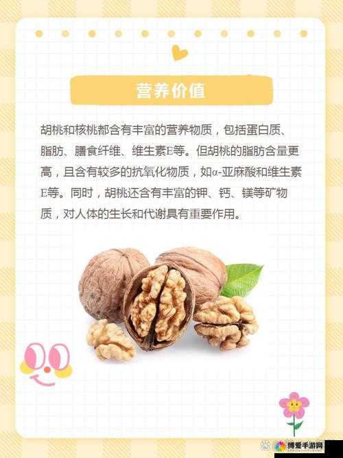 胡桃和核桃有什么区别?一文详解